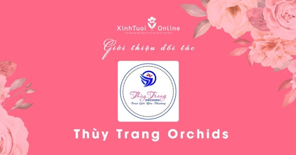 Thùy Trang Orchids - Hồ Chí Minh - Đối tác của XinhTuoi.Online - belovedbeyond.com
