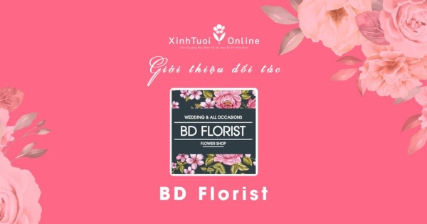 BD Florist - Hồ Chí Minh - Đối tác của XinhTuoi.Online - belovedbeyond.com