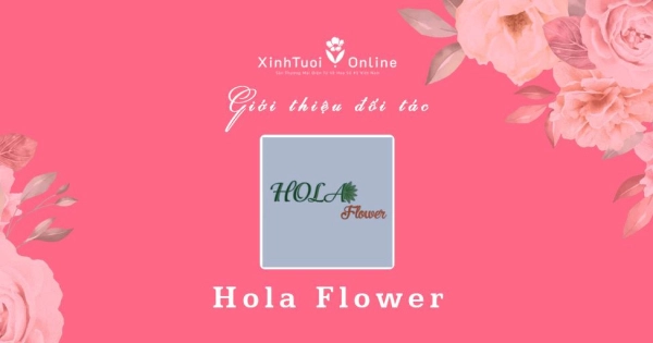 Hola Flower - Hồ Chí Minh - Đối tác của XinhTuoi.Online - belovedbeyond.com