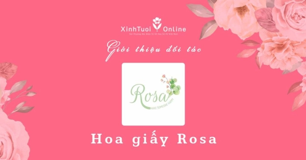 Hoa Giấy Rosa - Hồ Chí Minh - Đối tác của XinhTuoi.Online - belovedbeyond.com