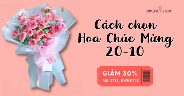 BÍ KÍP CHỌN HOA CÚC MỪNG 20/10 - belovedbeyond.com