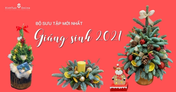 GIÁNG SINH - MÙA YÊU THƯƠNG - belovedbeyond.com