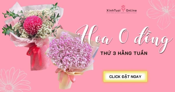 HẸN GIỜ SĂN HOA 0 ĐỒNG CÙNG XINH TƯƠI ONLINE - belovedbeyond.com