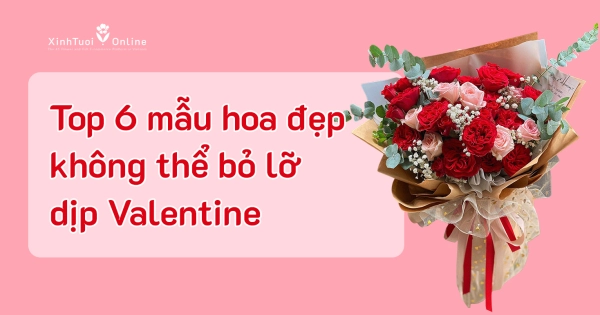 TOP 6 MẪU HOA LÃNG MẠN KHÔNG THỂ BỎ LỠ DỊP VALENTINE - belovedbeyond.com