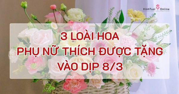 Ý NGHĨA CỦA NHỮNG LOÀI HOA PHỤ NỮ THÍCH ĐƯỢC TẶNG VÀO NGÀY 8/3 - belovedbeyond.com