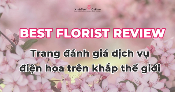 TRANG REVIEW DỊCH VỤ ĐIỆN HOA TOÀN CẦU ĐƯỢC YÊU THÍCH NHẤT - belovedbeyond.com