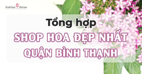HOA SINH NHẬT ĐẸP GIAO NHANH TẠI QUẬN BÌNH THẠNH - belovedbeyond.com