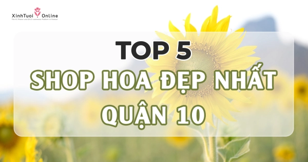 TOP 5 SHOP HOA ĐẸP GIAO NHANH TẠI QUẬN 10 - belovedbeyond.com
