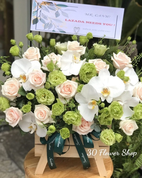 Gh-510 - belovedbeyond.com