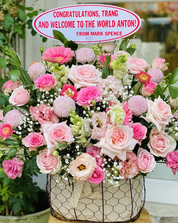 Gh-231 (Giỏ Hồng Ohara) - belovedbeyond.com