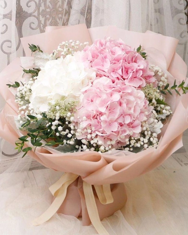 Bh-224 - belovedbeyond.com