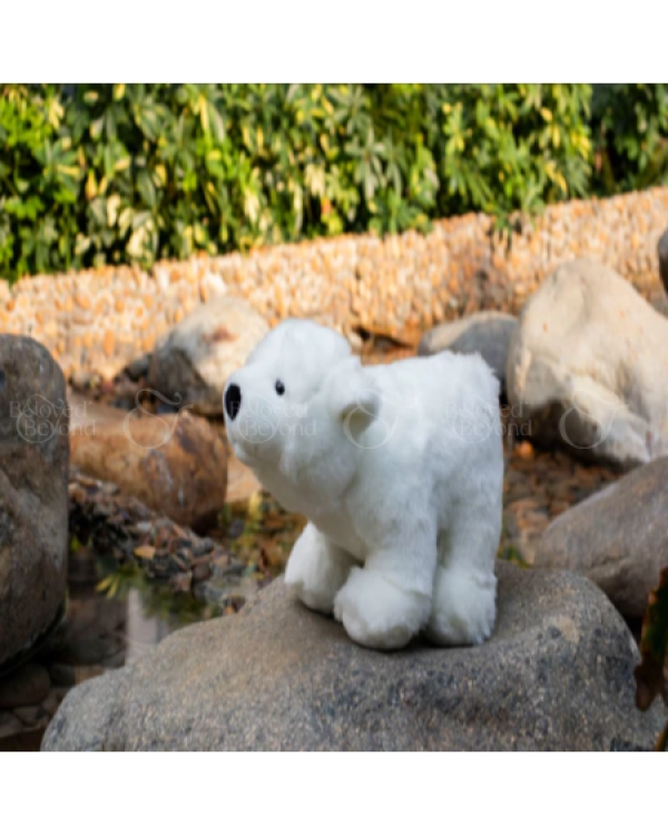Gấu Bắc Cực - Polar Bear - 12 Inches - belovedbeyond.com