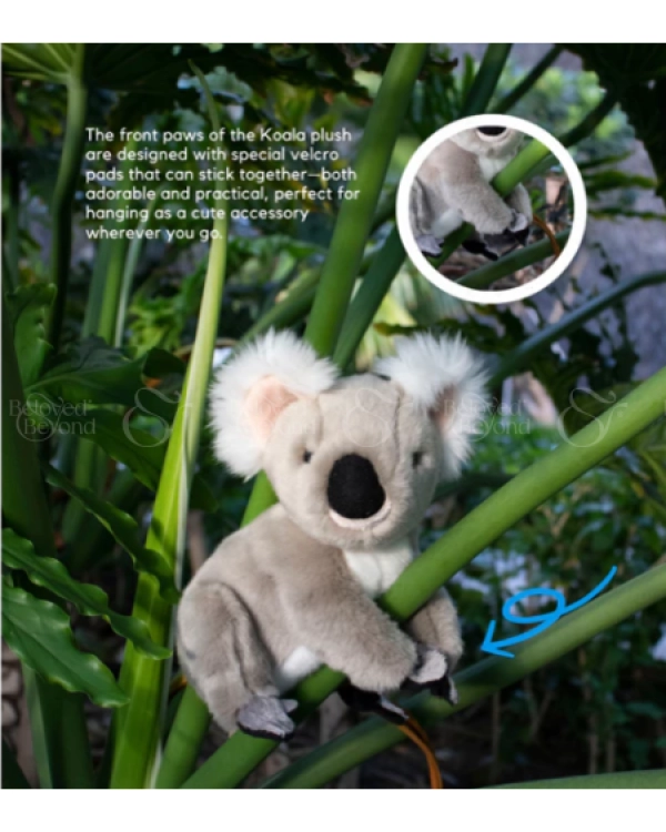 Gấu Koala // Gấu Túi - Tay Dán - 8 Inches - belovedbeyond.com