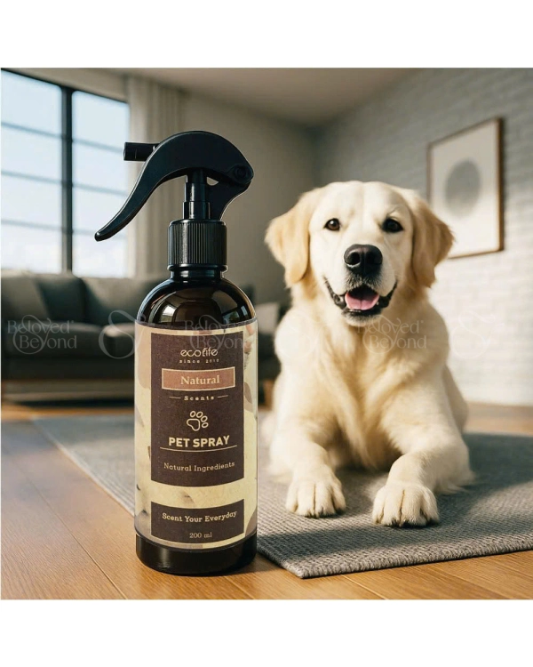Xịt Thơm Khử Mùi Thú Cưng Ecolife - belovedbeyond.com