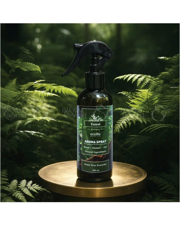 Xịt Thơm Phòng Ecolife – Hương Thơm Forest - belovedbeyond.com