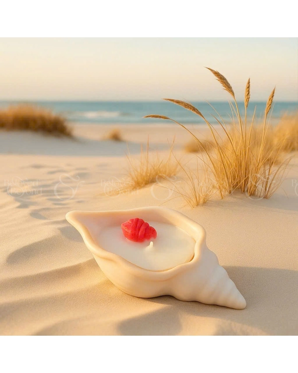 Nến Thơm Vỏ Ốc Ecolife - belovedbeyond.com