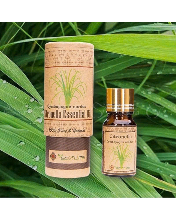 Tinh Dầu Sả Java – Citronella Essential Oil - belovedbeyond.com