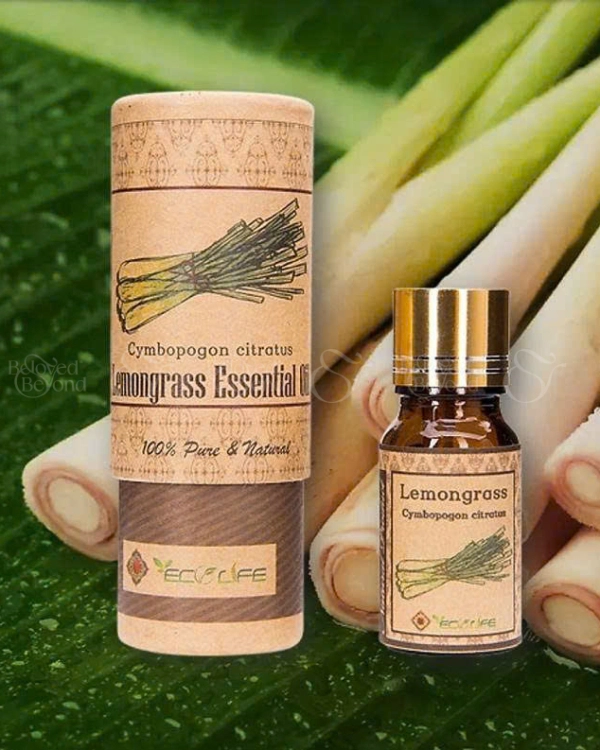 Tinh Dầu Sả Nguyên Chất – Lemongrass Essential Oil - belovedbeyond.com