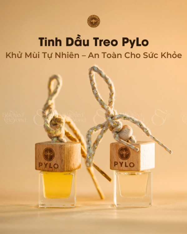 Tinh Dầu Treo Pylo - belovedbeyond.com
