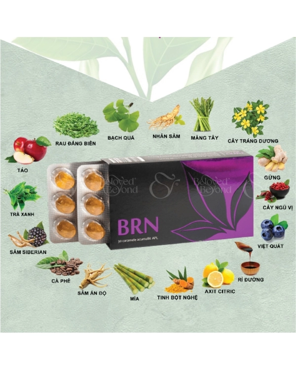 Kẹo Ngậm Tế Bào Gốc Brn– Hỗ Trợ Trí Não Aplgo - belovedbeyond.com
