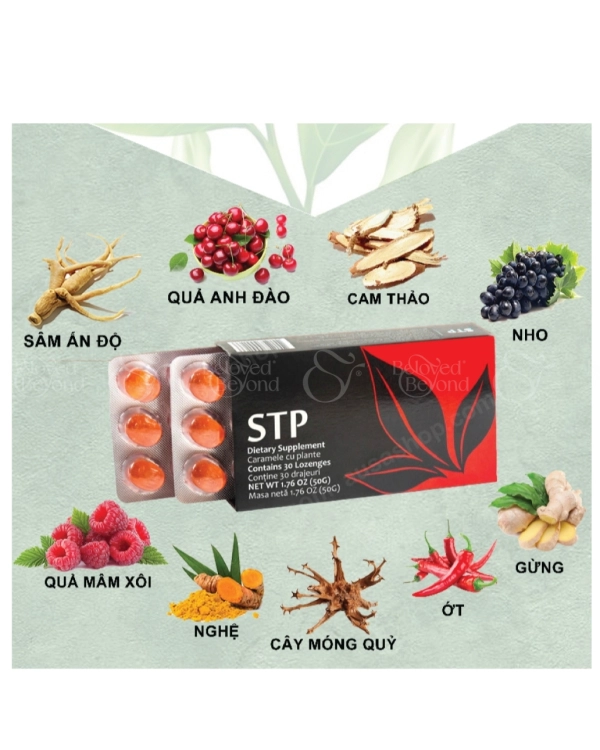 Kẹo Ngậm Tế Bào Gốc Stp – Giảm Viêm Khớp Aplgo - belovedbeyond.com