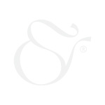 Trầu Bà Sữa Thủy Sinh - belovedbeyond.com