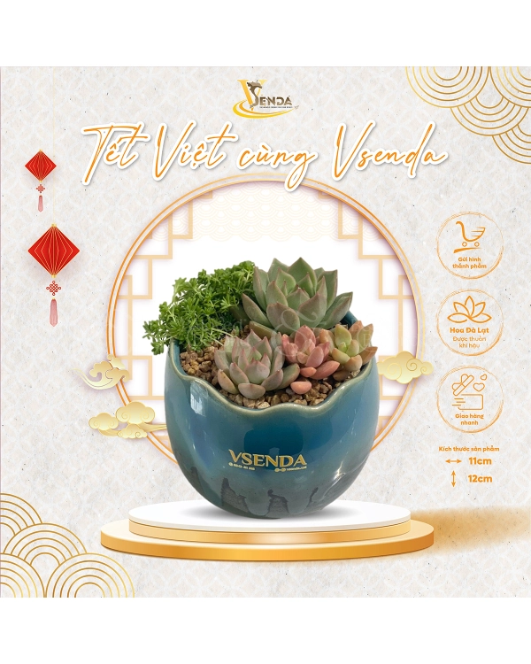 Trọn Vẹn _Tiểu Cảnh Sen Đá Quà Tết_Vsenda - belovedbeyond.com