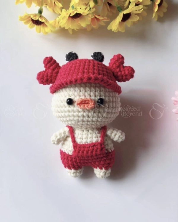 Vịt Đội Mũ Cua - belovedbeyond.com