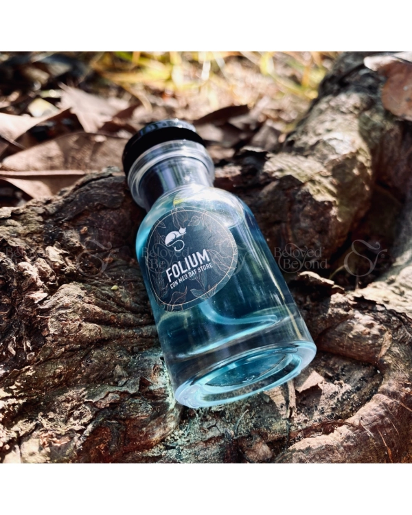 Nước Hoa Folium – Conifer - belovedbeyond.com