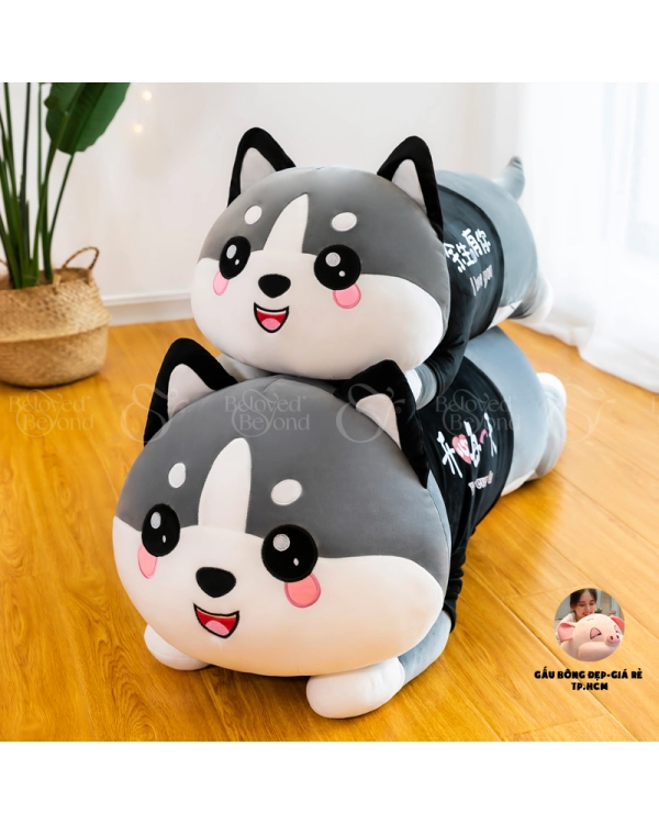 Mèo Áo Dễ Thương - belovedbeyond.com