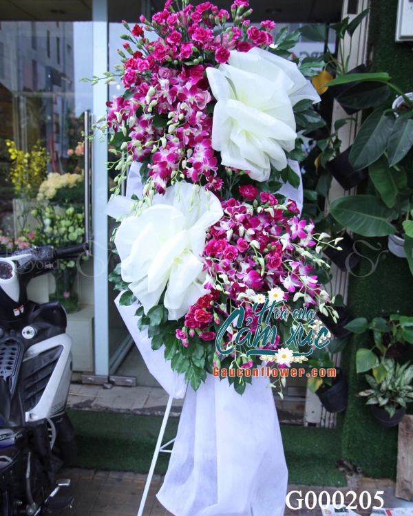 G000205 - belovedbeyond.com