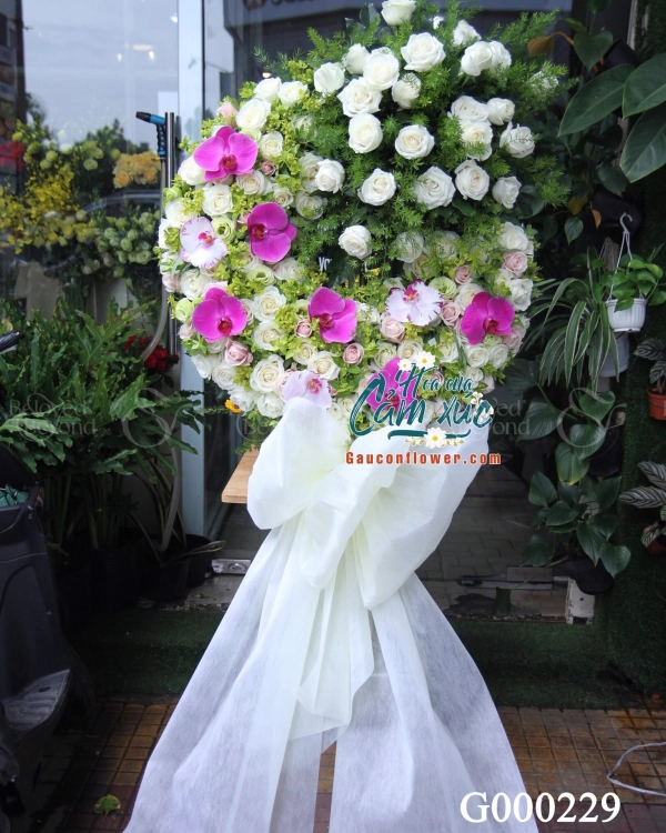 G000229 - belovedbeyond.com