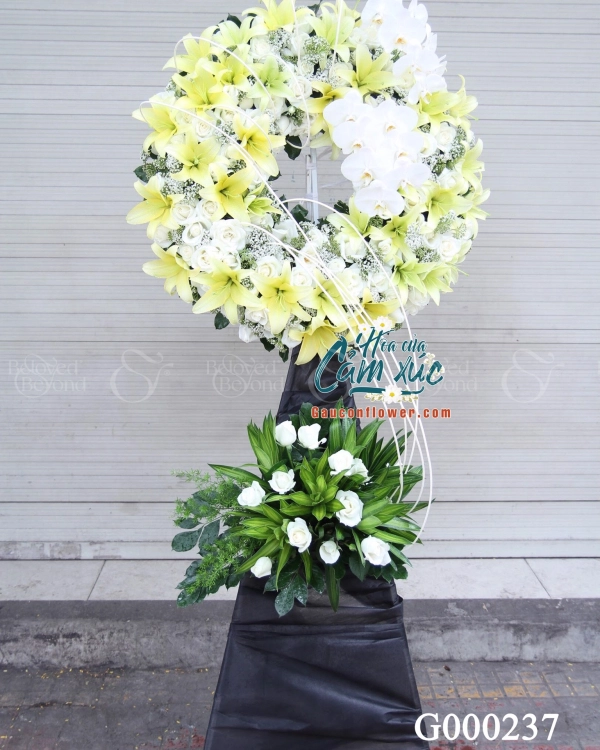 G000237 - belovedbeyond.com