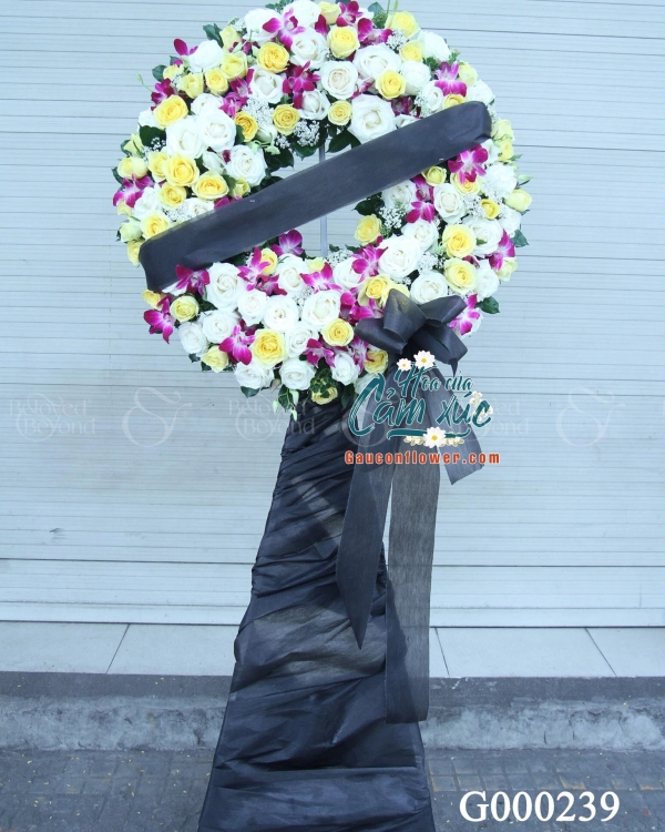 G000239 - belovedbeyond.com