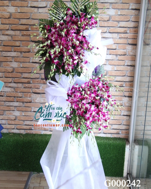 G000242 - belovedbeyond.com