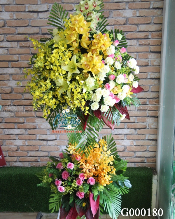 Hoa Chúc Mừng - belovedbeyond.com