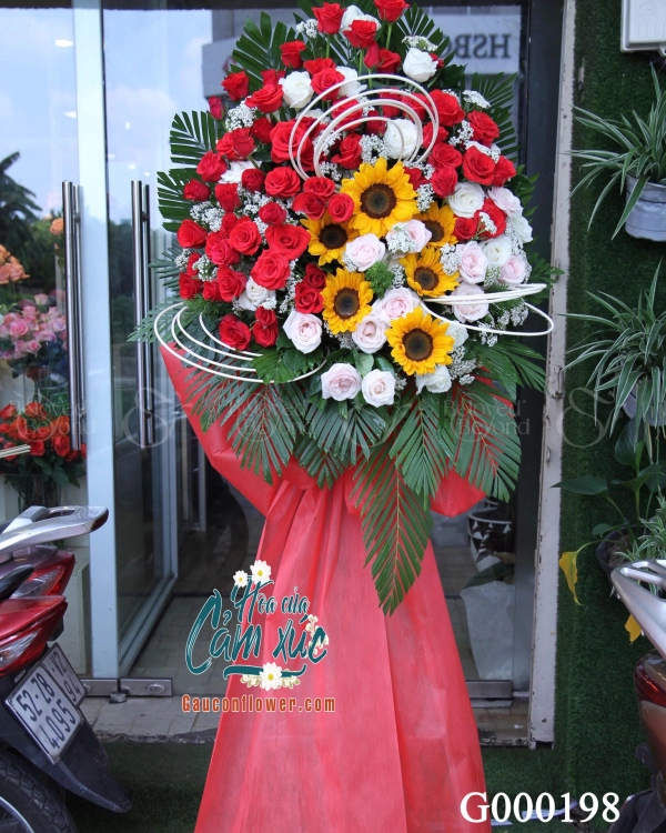 Hoa Chúc Mừng - belovedbeyond.com