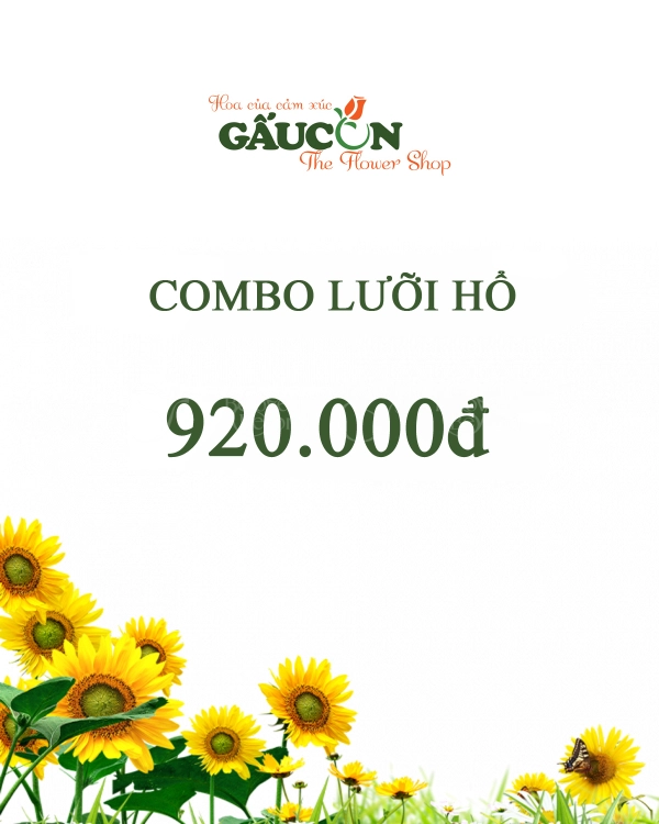 Combo Lưỡi Hổ - belovedbeyond.com