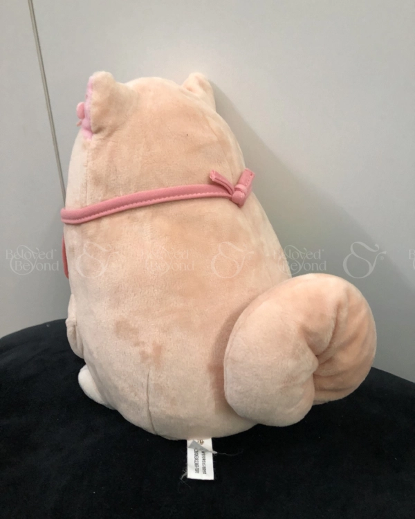 Chó Shiba Anh Đào - belovedbeyond.com