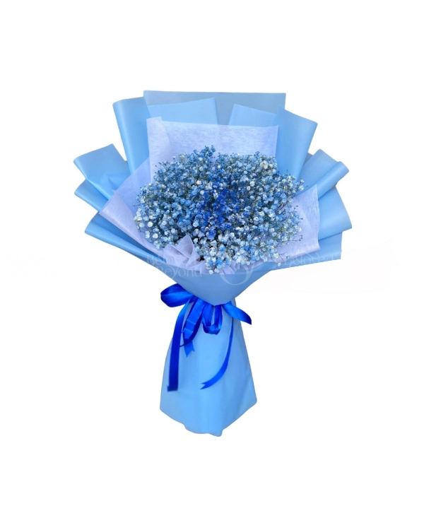 Bó Baby Xanh Dương - belovedbeyond.com