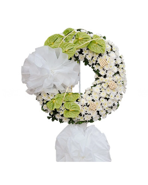 Ánh Chiều Tà - belovedbeyond.com