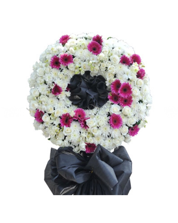 Lãng Quên - belovedbeyond.com