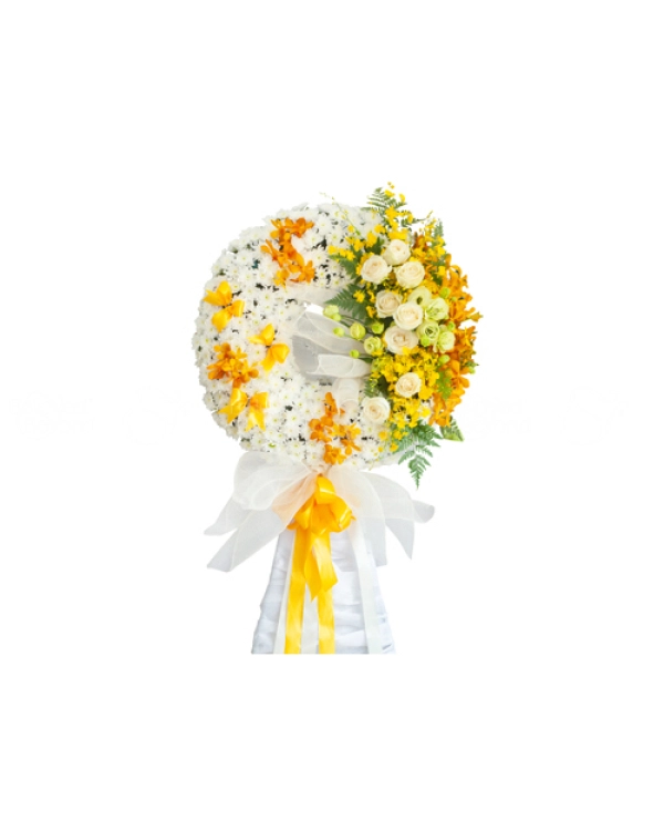 Tâm Thành - belovedbeyond.com