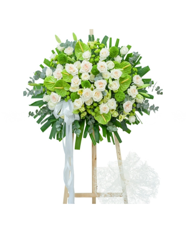Niềm Thương Tiếc - belovedbeyond.com