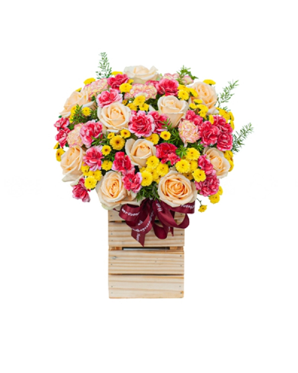 Hương Mùa Hè - belovedbeyond.com