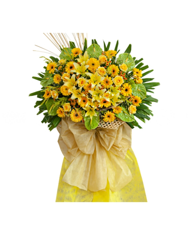 Trường Phát - belovedbeyond.com