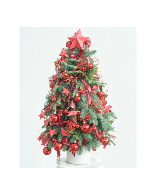 Thông Tươi Noel 100Cm 02 - belovedbeyond.com