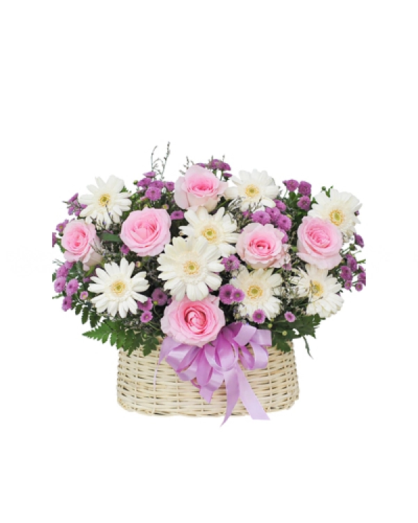 Sound Of Love - belovedbeyond.com