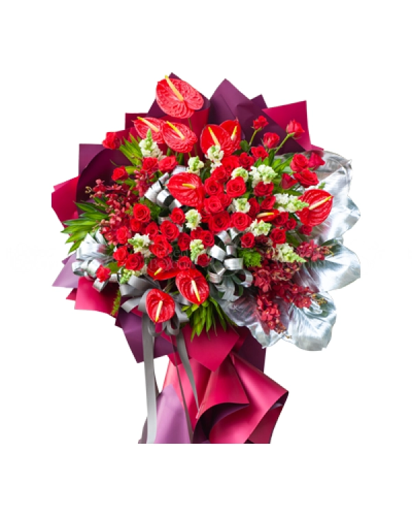 Vươn Cao - belovedbeyond.com