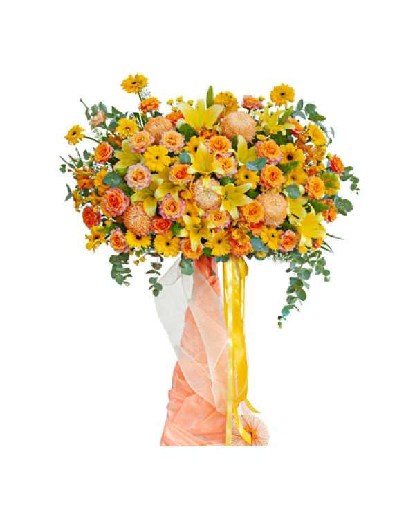 Thành Công Mỹ Mãn - belovedbeyond.com